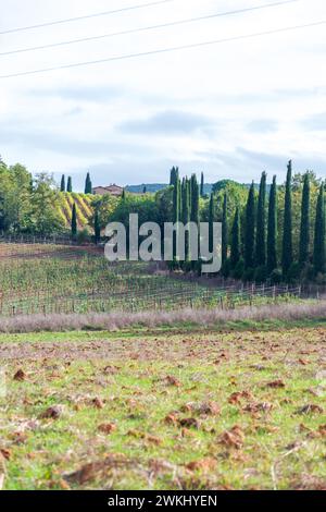 Malerische toskanische Landschaft ländliche Landschaft im frühen Herbst, Region Monteriggioni, Toskana, Italien. Buntes Feld im Vordergrund, Zypressen drin Stockfoto