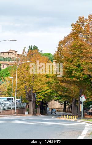 SP1, Strada Provinciale 1, Route unter den bunten Bäumen entlang San Gimignano, Region Monteriggioni in der Toskana, Italien Stockfoto