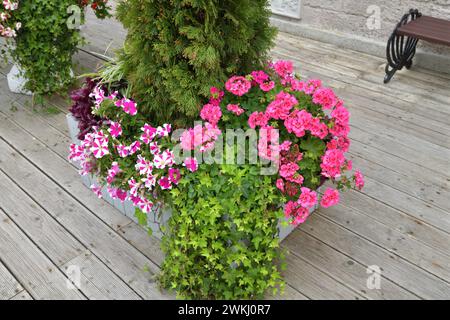 Blumen in einer Vase in der Nähe des Hauses Stockfoto