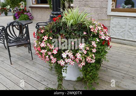 Blumen in einer Vase in der Nähe des Hauses Stockfoto
