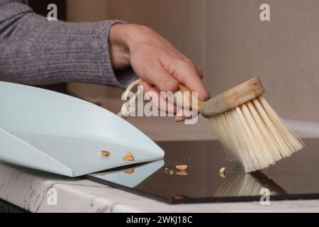 Nahaufnahme von Frauenhänden, die die Wohnung mit kleinem Besen und Kehrschaufel reinigen Stockfoto