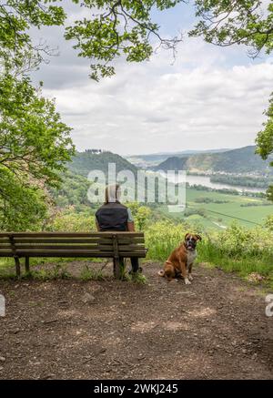 Touristenmädchen sitzt auf einer Bank mit einem Welpen-Boxerhund und blickt vom Aussichtspunkt auf das rheintal bei Andernach. Stockfoto