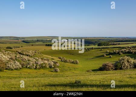 Ein Blick vom Ditchling Beacon in Sussex an einem sonnigen Sommertag Stockfoto