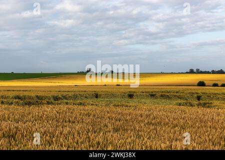 Landwirtschaftliche Landschaft in der Erntezeit, beleuchtet von ein paar Sonnenstrahlen Stockfoto