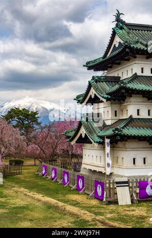 Schloss Hirosaki mit farbenfroher Sakura-Blüte und dem Iwaki-Berg dahinter (Aomori, Japan) Stockfoto