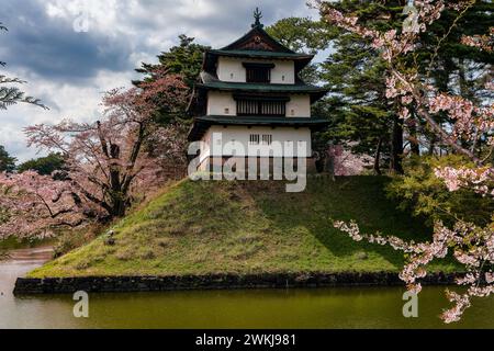 Bunte Kirschblüte (Sakura) und ein alter Burgfried (Hirosaki Park, Aomori, Japan) Stockfoto