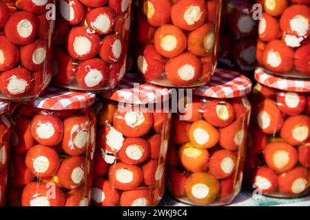 Hausgemachtes Gemüse in Dosen, eingelegte kleine Kirschtomaten gefüllt mit Käse und Zwiebeln, im ländlichen Stil der serbischen Landseite Stockfoto