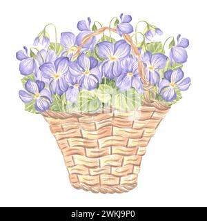 Frühlingsstrauß aus wilden Veilchen in Vintage-Korb. Aquarellillustration von Blumen. Isolierter handgezeichneter Blumenstrauß. Botanisches Zeichenmuster Stockfoto