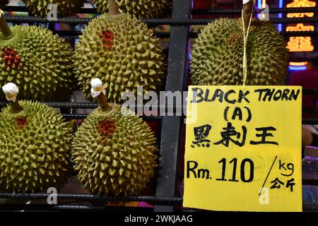 Köstliche saftig-fleischige aromatische malaysische Durians, die von Obstständen auf dem Nachtmarkt, Bukit Bintang, Kuala Lumpur, Malaysia verkauft werden. König der Früchte. Stockfoto