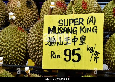 Köstliche saftig-fleischige aromatische malaysische Durians, die von Obstständen auf dem Nachtmarkt, Bukit Bintang, Kuala Lumpur, Malaysia verkauft werden. König der Früchte. Stockfoto