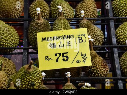 Köstliche saftig-fleischige aromatische malaysische Durians, die von Obstständen auf dem Nachtmarkt, Bukit Bintang, Kuala Lumpur, Malaysia verkauft werden. König der Früchte. Stockfoto