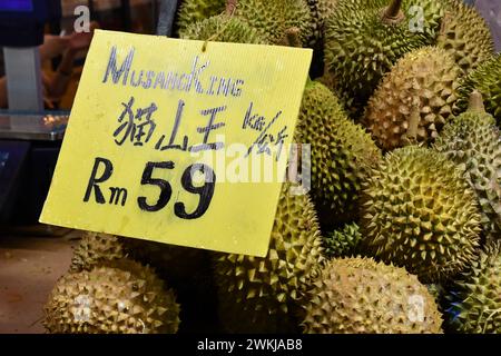 Köstliche saftig-fleischige aromatische malaysische Durians, die von Obstständen auf dem Nachtmarkt, Bukit Bintang, Kuala Lumpur, Malaysia verkauft werden. König der Früchte. Stockfoto