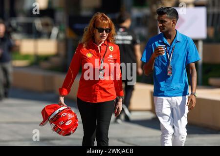 Sakhir, Bahrain. Februar 2023. F1-Vorsaisontests in Bahrain auf dem Bahrain International Circuit am 25. Februar 2023 in Sakhir, Bahrain. (Foto von HOCH ZWEI) Credit: dpa/Alamy Live News Stockfoto