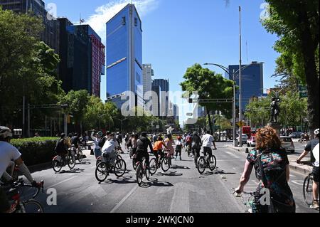 Radfahren auf der Sonntags gesperrten Avenida de la Reforma, Colonia Centro, Mexiko Stadt *** Radfahren auf der Avenida de la Reforma, Colonia Centro, Mexico City, die sonntags geschlossen ist Stockfoto