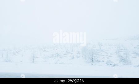 Ein Wintersturm durch den Westen von Colorado Stockfoto