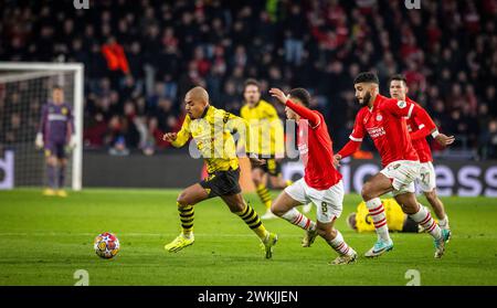 Eindhoven, Niederlande. Februar 2024. Donyell Malen (BVB) Sergino Dest (Eindhoven) Ismael Saibari (Eindhoven) PSV Eindhoven - Borussia Dortmund 20. Stockfoto