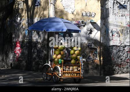 Kokosnuss HŠndler, Colonia Centro, Mexiko Stadt Stockfoto