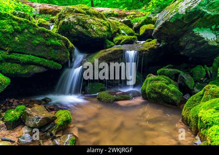 Ein kleiner Wasserfall mit moosigen Felsen im Shenandoah National Park. Virginia, USA Stockfoto