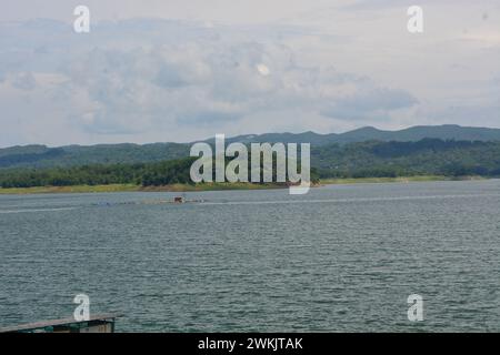 Foto eines Stausees mit einem Süßwasserfischteich Stockfoto