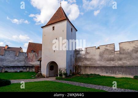 Die Festungskirche St. Arbogast bei der Gemeinde Muttenz. Kanton Basel-Land, Schweiz. Die Kirche ist die einzige in der Schweiz Stockfoto