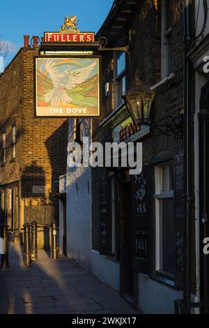 Abendsonnenlicht in einer malerischen Passage vor dem Dove Public House in Hammersmith, West London, England, Großbritannien Stockfoto