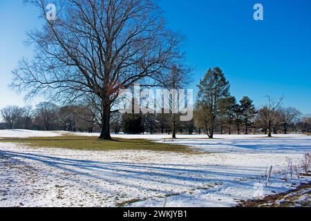 Lange Schatten karger Bäume fallen am späten Nachmittag an einem sonnigen Tag auf ein schneebedecktes Feld -01 Stockfoto