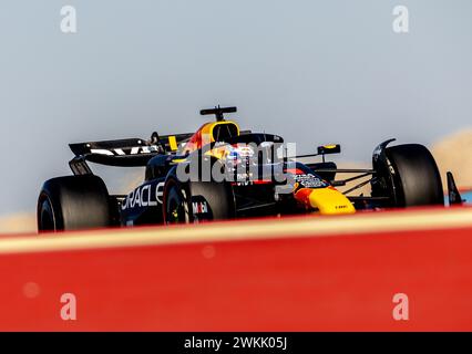 BAHRAIN - Max Verstappen (Red Bull Racing) in Aktion während der zweiten Session des ersten Testtages auf dem Bahrain International Circuit Sakhir vor Beginn der Formel-1-Saison. ANP REMKO DE WAAL Stockfoto