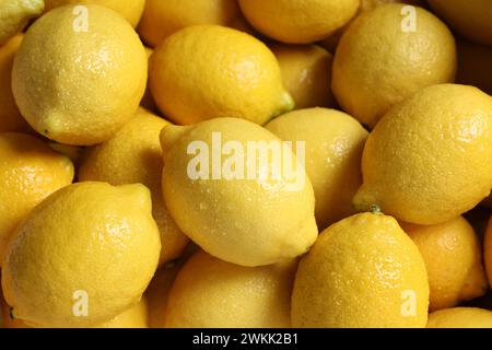 Frische Zitronen mit Wassertropfen als Hintergrund, Nahaufnahme Stockfoto