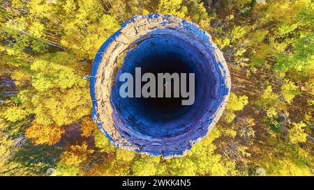 Luftaufnahme von oben nach unten auf verlassenes Silo im Autumn Forest, Michigan Stockfoto
