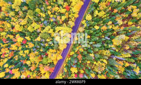 Luftbild des Herbstwaldes mit Serpentine Road in Michigan Top Down View Stockfoto