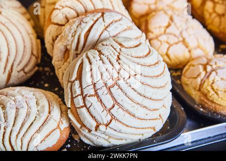 Frisch Gebackene Conchas Mexikanisches Süßbrot Nahaufnahme Stockfoto