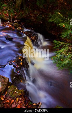 Herbstlicher Wasserfall im Wald mit seidenem Wasserfluss Stockfoto