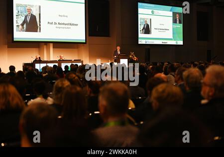 36. Deutscher Krebskongress 21. bis 24. Februar 2024, Eröffnungsveranstaltung, Eröffnung 21.02.2024 Eröffnungsrede von Prof. Dr. Reinhard Büttner Kongresspräsident Deutscher Krebskongress 2024 bei der Eröffnungsveranstaltung beim 36. Deutscher Krebskongress 21.02. - 24.02.2024. Blick in den Saal. Berlin Berlin / Brandenburg Deutschland Berlin City Cube *** 36 Deutscher Krebskongress 21. Bis 24. Februar 2024 , Eröffnungsveranstaltung, Eröffnung 21 02 2024 Eröffnungsrede von Prof. Dr. Reinhard Büttner Kongresspräsident Deutscher Krebskongress 2024 bei der Eröffnungsveranstaltung des Deutschen Krebskongresses 36 21 02 24 02 Stockfoto