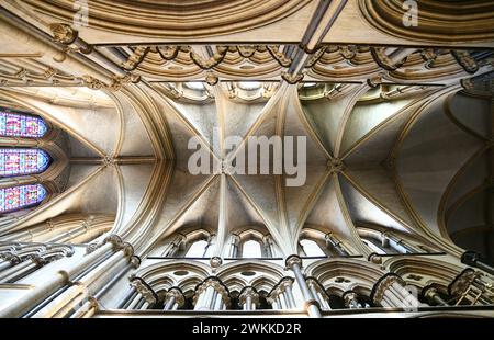 Vaults sind ein wichtiges architektonisches Merkmal der Lincoln Cathedral in Lincolnshire, England Stockfoto