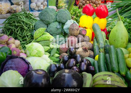 Ein Straßenstand, der eine große Auswahl an reifem, farbenfrohem Gemüse von Paprika, Bohnen, Gurken bis zu Auberginen und vielen mehr in Delhi, Indien, verkauft. Stockfoto