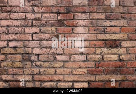Ziegelwand in roter Farbe, Panorama des Mauerwerks Stockfoto