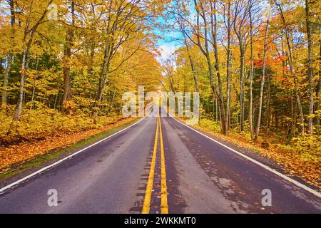 Herbstpracht auf der Keweenaw Road mit gefallenen Blättern Stockfoto