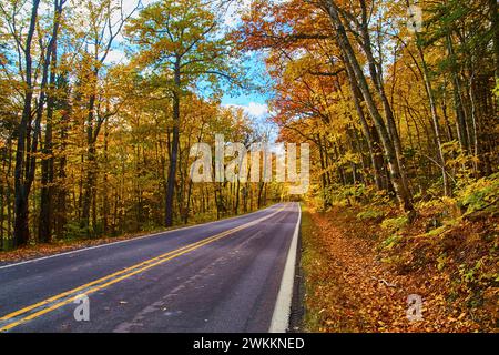 Autumnal Road Durch Den Lebhaften Michigan Forest Stockfoto
