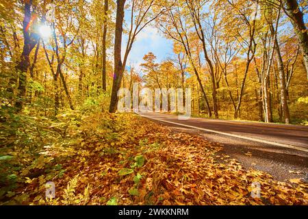 Herbstpracht auf der gewundenen Forest Road auf der Keweenaw-Halbinsel Stockfoto