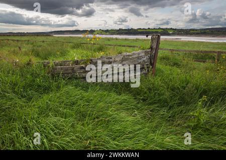 Verrottete Holzrümpfe von Schiffen, die am Ufer des Severn liegen, um Erosion auf dem Purton Ship Graveyard in Purton, Gloucestershire, Großbritannien, zu vermeiden Stockfoto