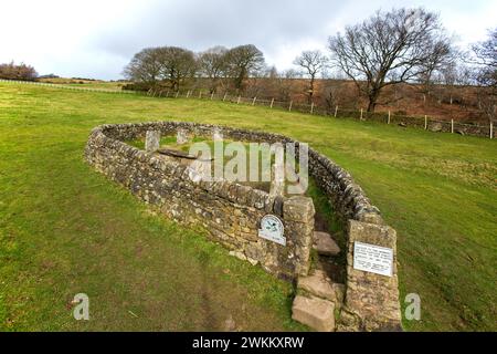 Die Riley-Gräber und Grabstätten, umgeben von einer Steinmauer, die Gräber der ganzen Hancock-Familie. Die alle an der Pest im Eyam Peak District Derbyshire gestorben sind Stockfoto