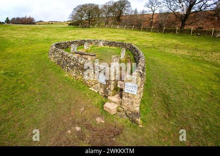 Die Riley-Gräber und Grabstätten, umgeben von einer Steinmauer, die Gräber der ganzen Hancock-Familie. Die alle an der Pest im Eyam Peak District Derbyshire gestorben sind Stockfoto