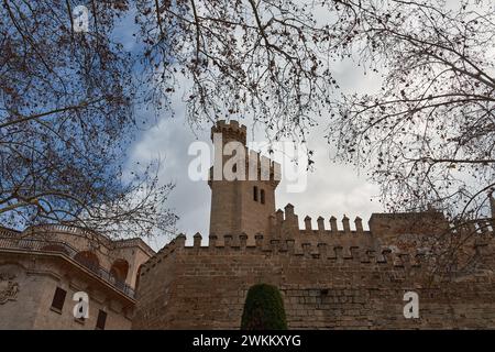 Der Torre dels Caps (Turm der Köpfe auf Spanisch) mit Ästen im Vordergrund steht am nördlichen Ende des Gehäuses Almudaina und Dat Stockfoto