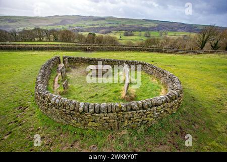 Die Riley-Gräber und Grabstätten, umgeben von einer Steinmauer, die Gräber der ganzen Hancock-Familie. Die alle an der Pest im Eyam Peak District Derbyshire gestorben sind Stockfoto