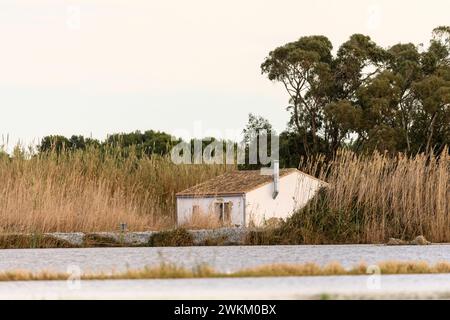 Ein charmantes Reetdachhaus steht am Ufer im Albufera Naturpark in der Nähe von Valencia und bietet einen ruhigen ländlichen Rückzugsort. Stockfoto