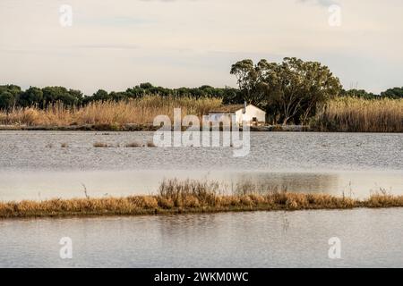 Ein charmantes Reetdachhaus steht am Ufer im Albufera Naturpark in der Nähe von Valencia und bietet einen ruhigen ländlichen Rückzugsort. Stockfoto