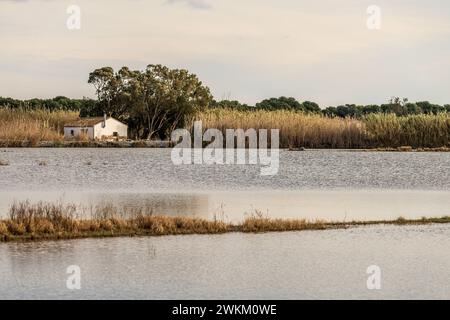 Ein charmantes Reetdachhaus steht am Ufer im Albufera Naturpark in der Nähe von Valencia und bietet einen ruhigen ländlichen Rückzugsort. Stockfoto