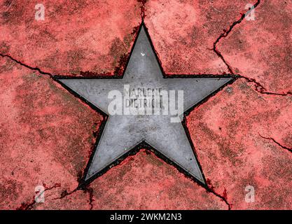 Star gewidmet der deutschen Schauspielerin Marlene Dietrich auf dem heruntergekommenen Boulevard of Stars im Zentrum Berlins, deutsche Version des Hollywood Walk of Fame Stockfoto