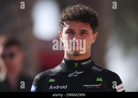 NORRIS Lando (gbr), McLaren F1 Team MCL38, Porträt während der Formel 1 Aramco Vorsaisontests 2024 der FIA Formel 1 Weltmeisterschaft 2024 vom 21. Bis 23. Februar 2024 auf dem Bahrain International Circuit in Sakhir, Bahrain Stockfoto