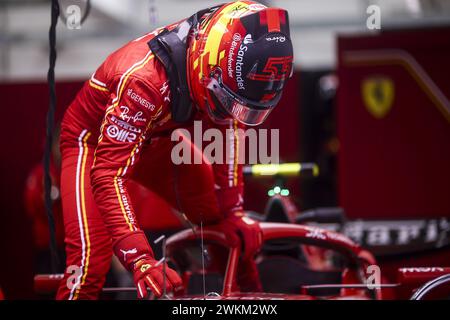 SAINZ Carlos (Spa), Scuderia Ferrari SF-24, Porträt während der Formel 1 Aramco-Vorsaisontests 2024 der FIA Formel-1-Weltmeisterschaft 2024 vom 21. Bis 23. Februar 2024 auf dem Bahrain International Circuit in Sakhir, Bahrain Stockfoto